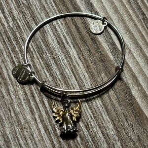 Alex and Ani bracelet